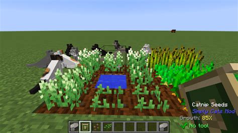 Simply Cats Minecraft Mod