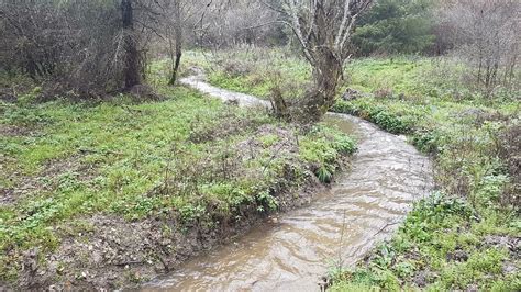 Centre De Ressources Milieux Humides On Twitter RT CENAuvergne