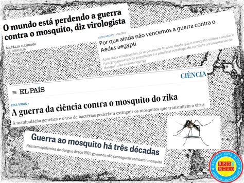 Reda O Sobre A Dengue Pronta Librain