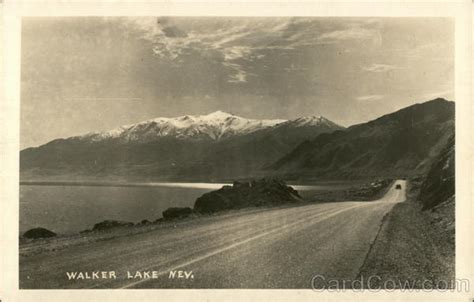 Walker Lake Nevada Postcard