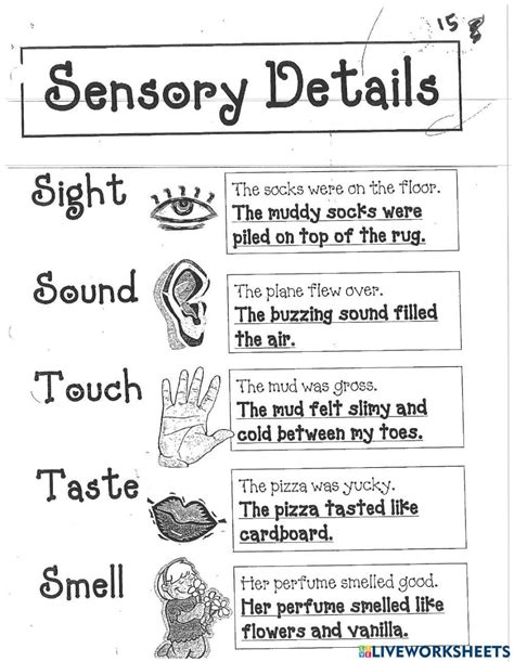 Sensory Details Descriptive Paragraph Online Exercise For Live Worksheets