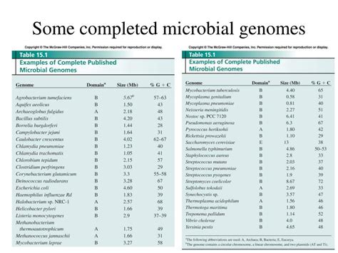 Ppt Microbial Genomics Powerpoint Presentation Free Download Id