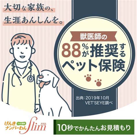 【獣医師監修】犬も風邪をひく？症状や治療法は？知っておきたい犬の風邪 ペットニュースストレージペット保険のペットandファミリー損保