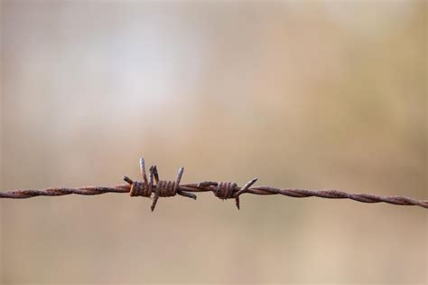 Premium Photo Close Up Of Barded Wire Fence