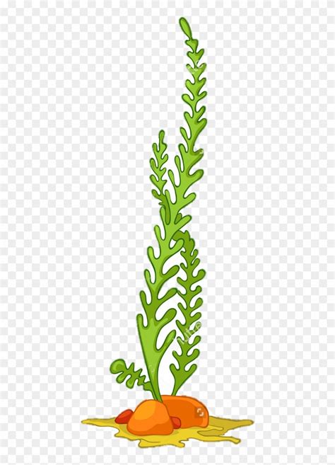 Ocean Plants Clip Art