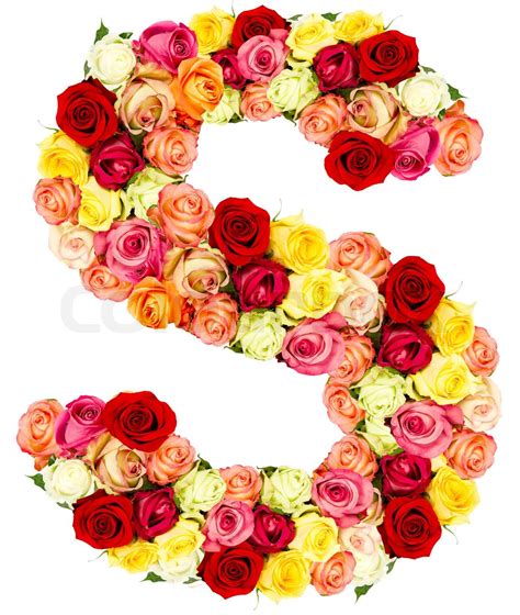 S Rosen Blumen Alphabet Stock Bild Colourbox