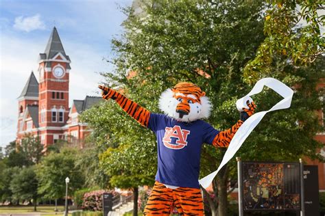 Auburn University Announces Fans Can Roll Two Auburn Oaks At Toomers