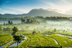 Vaccines Required For Safe Travel To Bali Updated June 2024