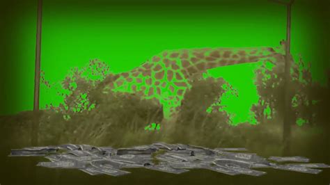 Hot Blonde Deepthroats Giraffe Cock YouTube