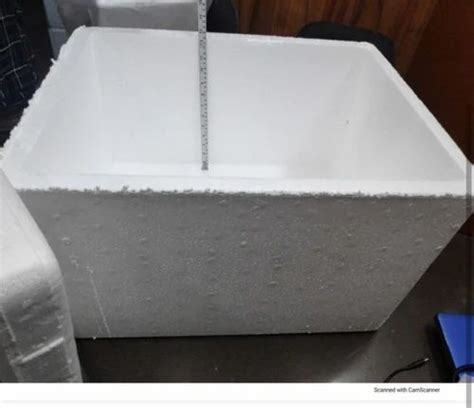 Thermofrost L Polystyrene Thermocol Box For Packaging At Rs