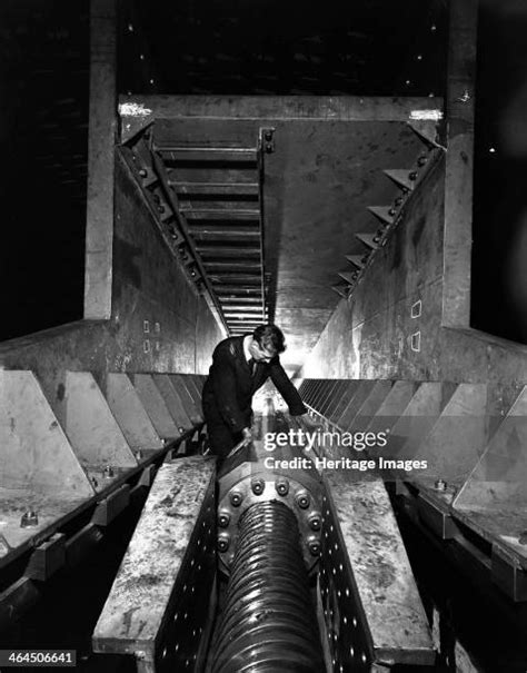 14 Screw Worm Stock Photos High Res Pictures And Images Getty Images