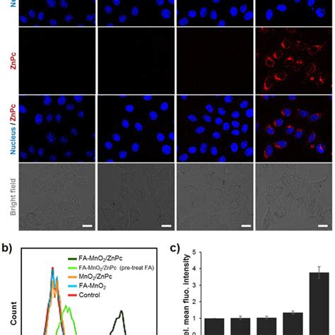 Intracellular Uptake Study A Bright Field And Fluorescence Images Of