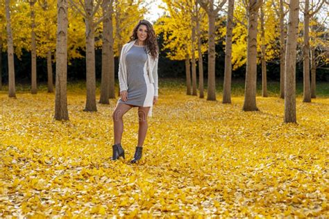 Brunette Model In Fall Foliage Stock Photo Image Of Happy Fall