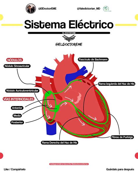 Mauricio Montelongo On Twitter BASES DEL EKG Quieres Realizar Tu