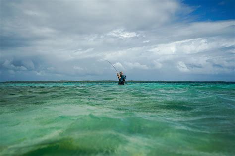 The Los Roques Archipelago — Wild Sea Expedition