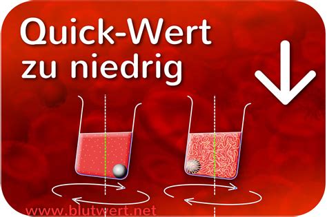 Quick Test Inr Wert Assisted Ambient Inr Wert Aal Akademie Diagnostik