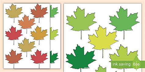 Maple Leaves Display Cut Outs L Enseignant A Fait Twinkl