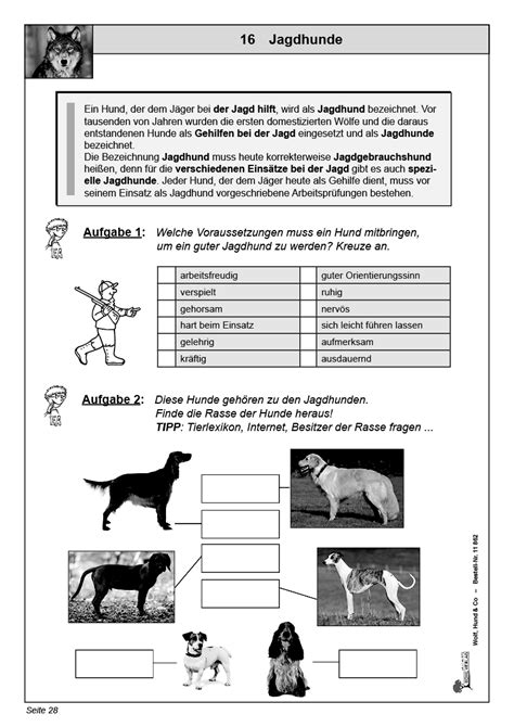 Lernwerkstatt Wolf Hund Co