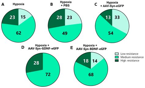 Ijms Free Full Text Overexpression Of Brain And Glial Cell Line