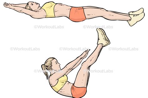 Jackknife Sit Ups Crunch Toe Touches Workoutlabs Exercise Guide