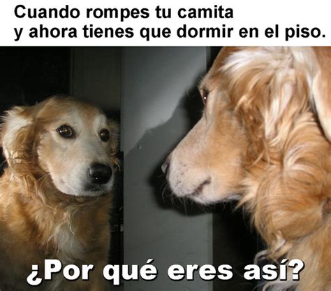 El Meme Del Momento ¿por Qué Eres Así Hola Telcel