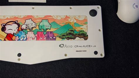 Modded Akko Acr Pro Alice Plus Computers Tech Parts Accessories