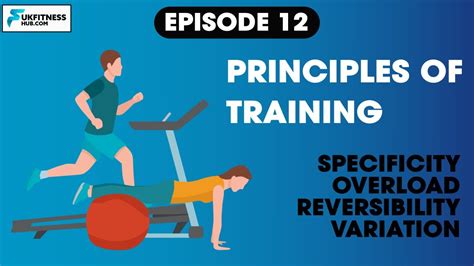 Sports And Exercise Science Series Ep The Principles Of Training