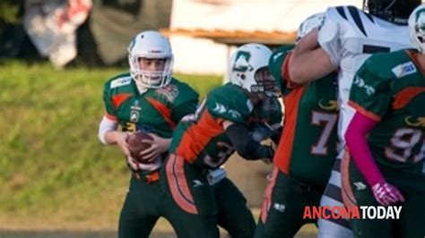 Dolphins Ancona L Under 16 Pronta Alla Sfida Contro Le Aquile