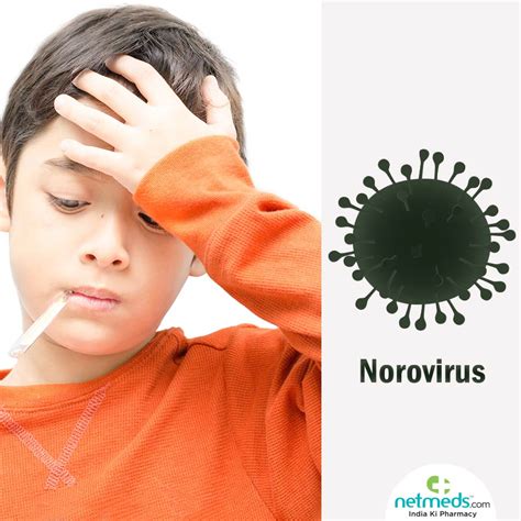 Norovirus