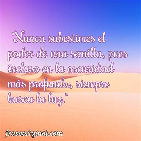 Frases E Indirectas Para Expresar Los Sentimientos Frase Original