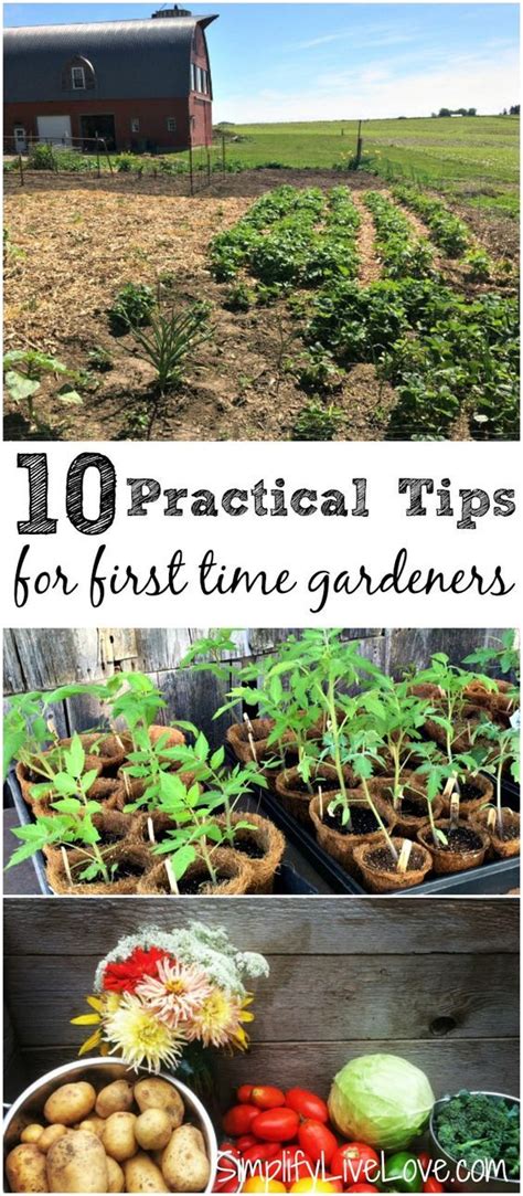 10 Practical Gardening Tips And Tricks To Help Your Garden Thrive