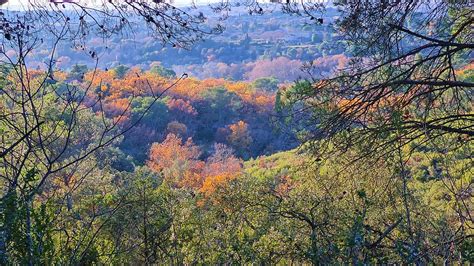 Garrigue Photograph by Herve Lapierre - Fine Art America