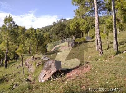 Marla Plots For Sale In Ihata Noor Khan Murree Zameen