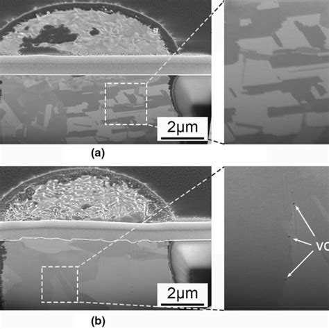 Effects Of Twin Boundaries On The Void Formation In Cu Filled Through