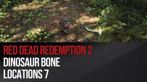 Red Dead Redemption 2 Dinosaur Bone Locations 7 Youtube