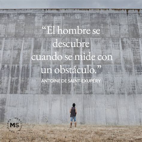 Frases De La Vida Sobre Aprender A Caer Y Levantarse