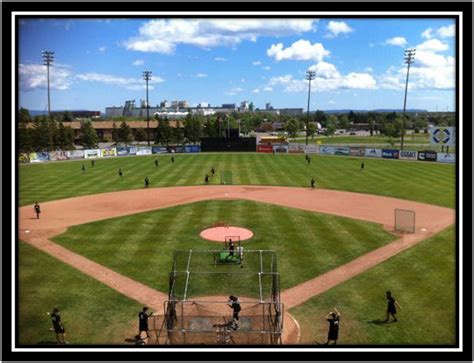 Ballpark - Thunder Bay Border Cats : Thunder Bay Border Cats