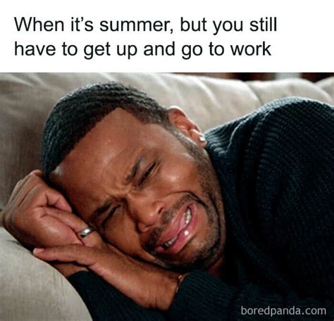 Summer Memes That Perfectly Capture The Seasons Vibes