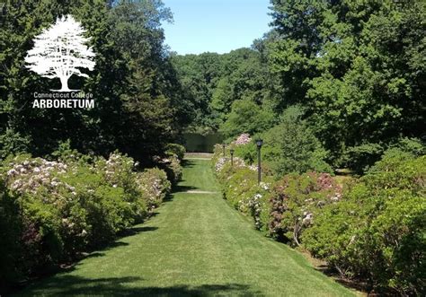 Jun 20 Connecticut College Arboretum Open House New London Ct Patch