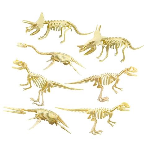 Dinosaur Fossils For Kids