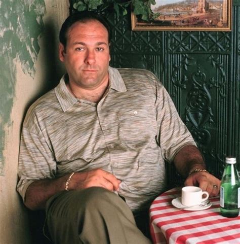 Tony Soprano The Sopranos Smash Pass He Has Deafening Rizz In The