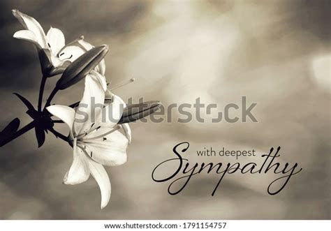 75,472 Sympathy Images, Stock Photos & Vectors | Shutterstock