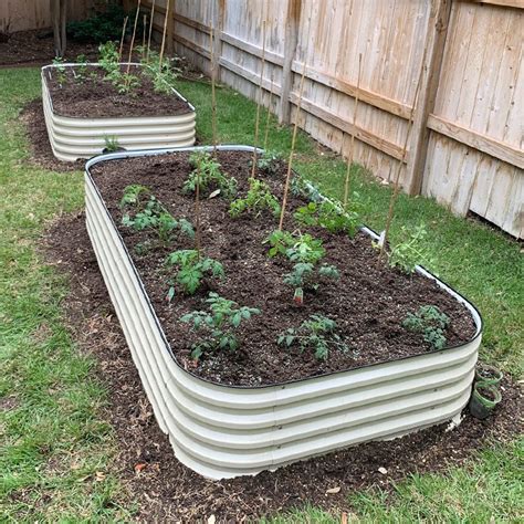 Raised Bed Garden Growing Veggies Vegega