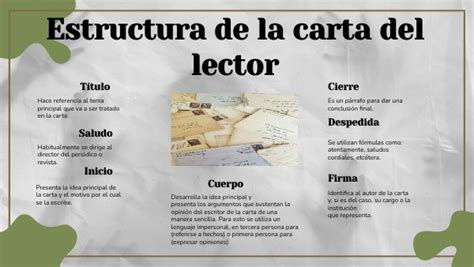 Estructura De La Carta Del Lector