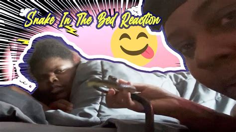 Snake In The Bed Reaction Jae Janae Youtube