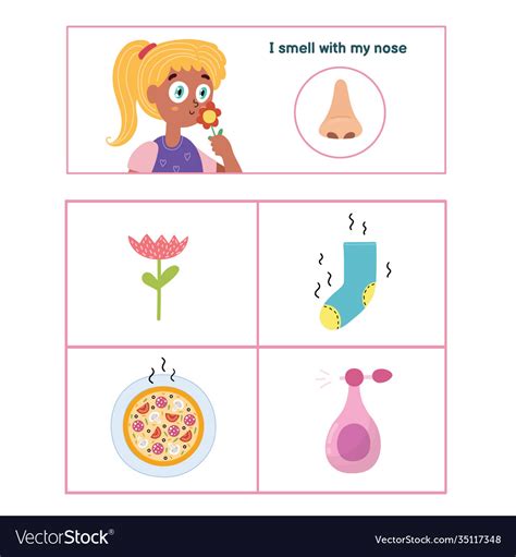 Senses Smell Worksheet Have Fun Teaching Ubicaciondepersonas Cdmx Gob Mx