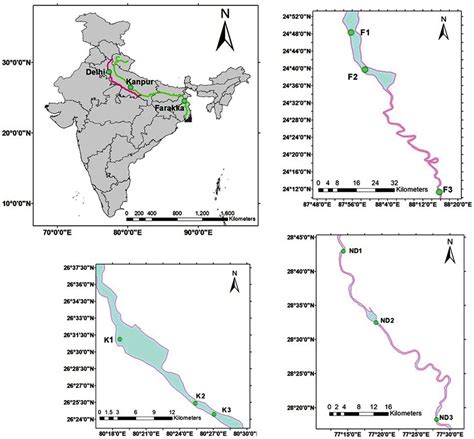 Frontiers Metagenomic Analysis Reveals Bacterial And Fungal Diversity