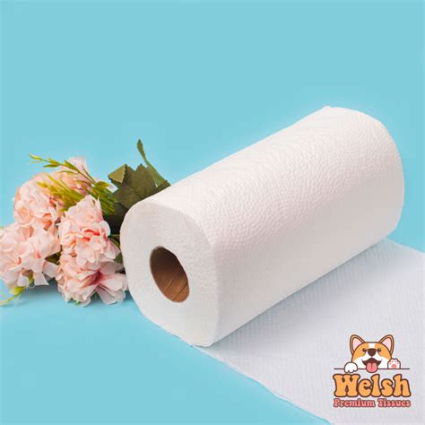 Paper Towel Kitchen Tissue Roll Ply Sheets Virgin Pulp Lazada Ph