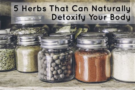 5 Herbs That Can Naturally Detoxify Your Body