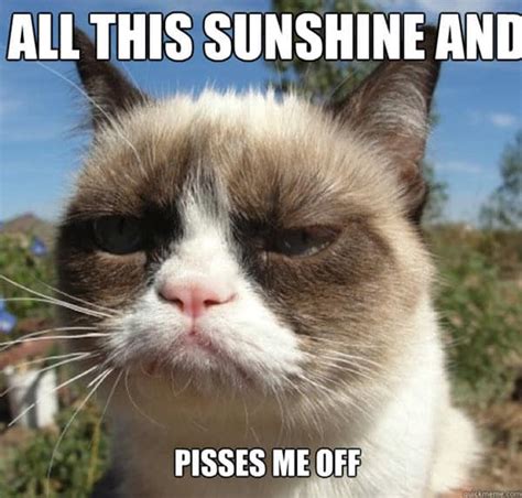 42 Hot Weather Memes To Help You Cool Down SayingImages